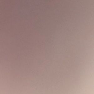 Meet your Posher, Maddie